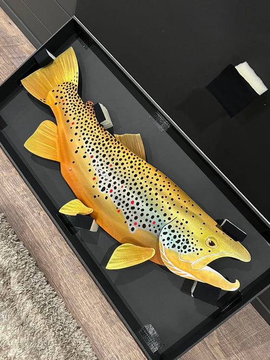Brown Trout - 28”