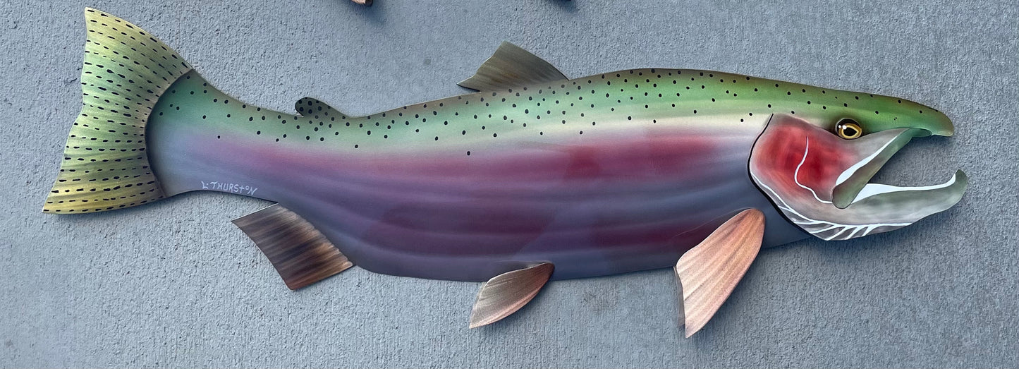 Steelhead - 40”