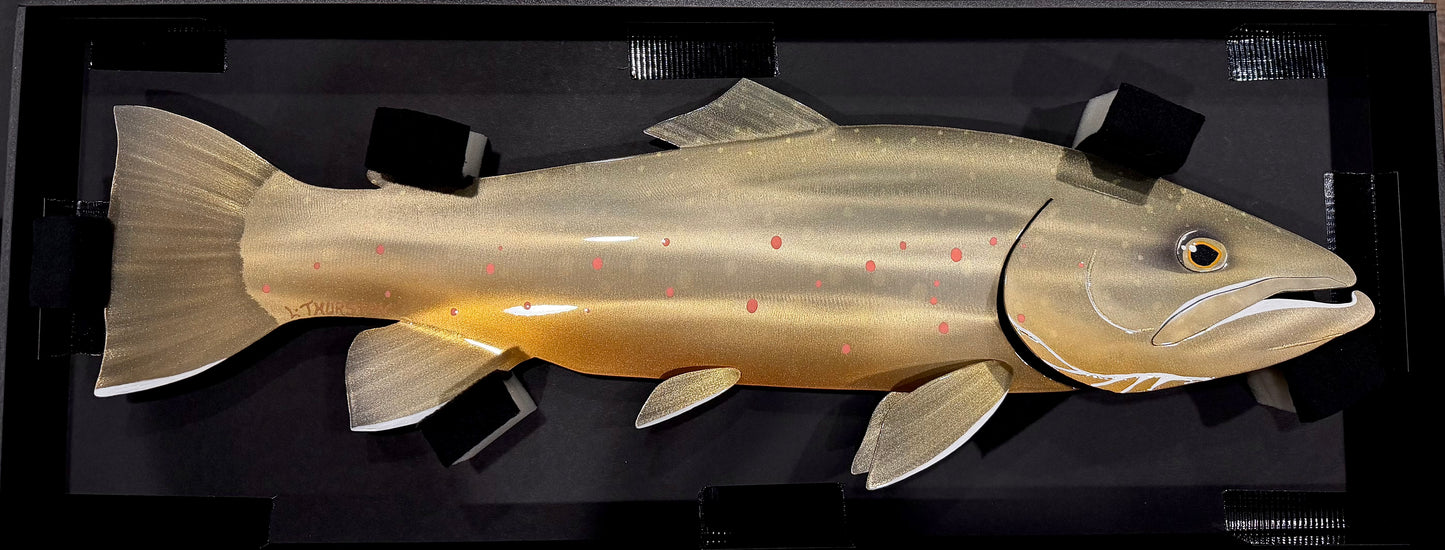 Bull Trout - 25”