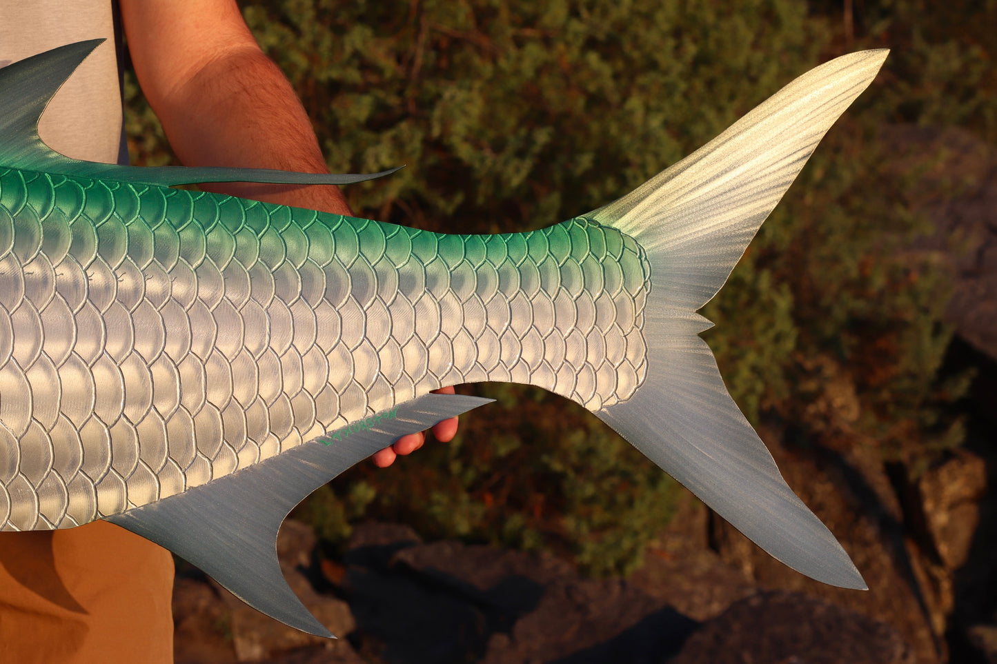 Tarpon - 55”