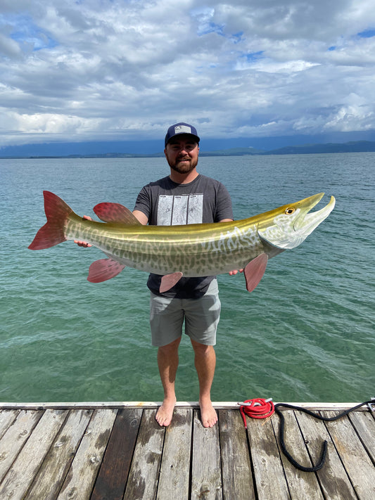 Muskie - 50”