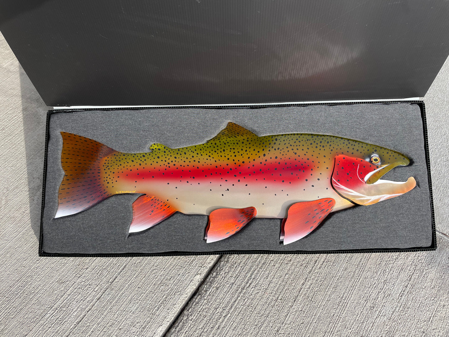 Rainbow Trout - 28”